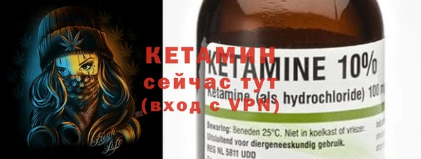 индика Елизово