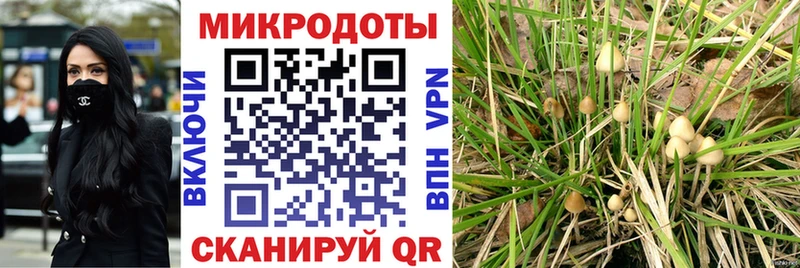 Галлюциногенные грибы мухоморы  Купить закладки  Коммунар 